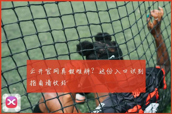 云开官网真假难辨？这份入口识别指南请收好